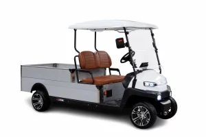 Modelo ZH05 de nuestros carritos de golf en México