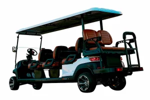 Modelo Z8 de nuestros carritos de golf en México
