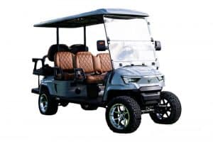 Modelo E6 de nuestros carritos de golf en México