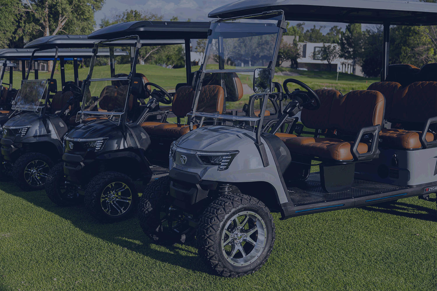 Carritos de Golf eléctricos marca Zycar