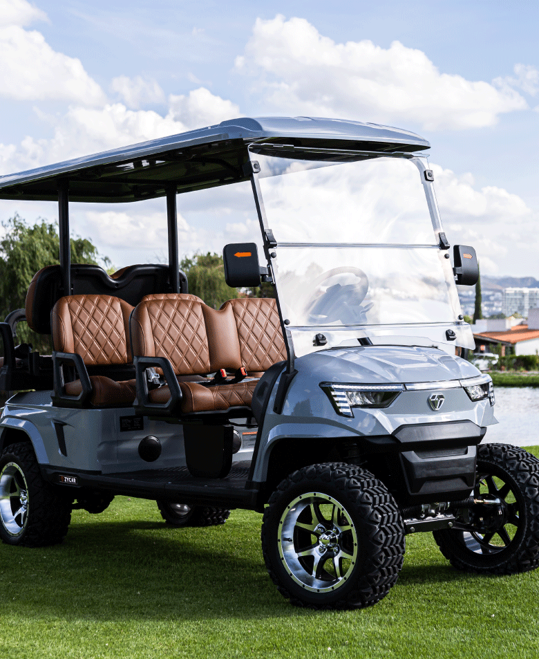 Carrito de golf marca Zycar